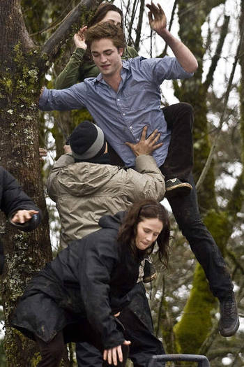 Twilight-471-3-large