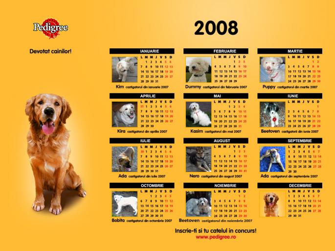 calendar cu catei - catelusi simpatici