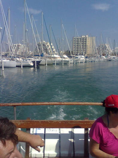 Imagine1263 - ApiMondia