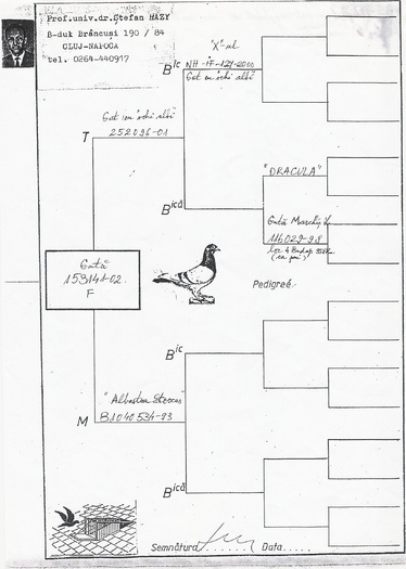 Prof.Univ.Dr Stefan Hazi - Pedigree Matca