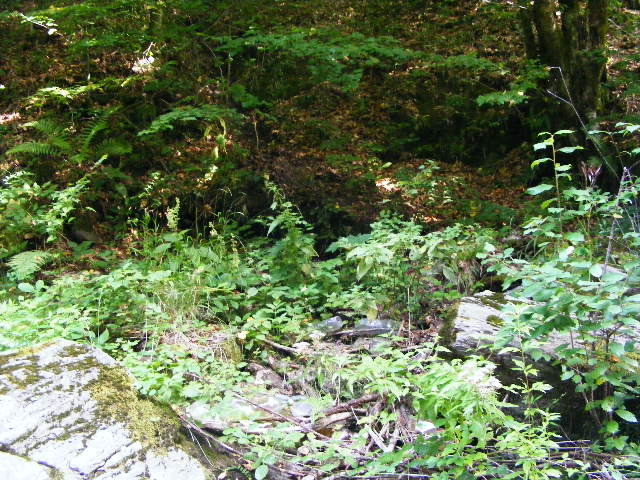 DSCF5105