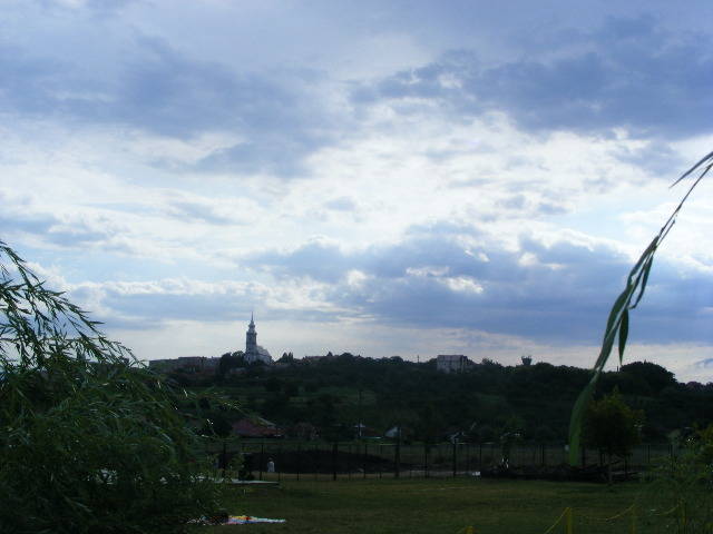 DSCF3865 - Tasnad iulie 2009