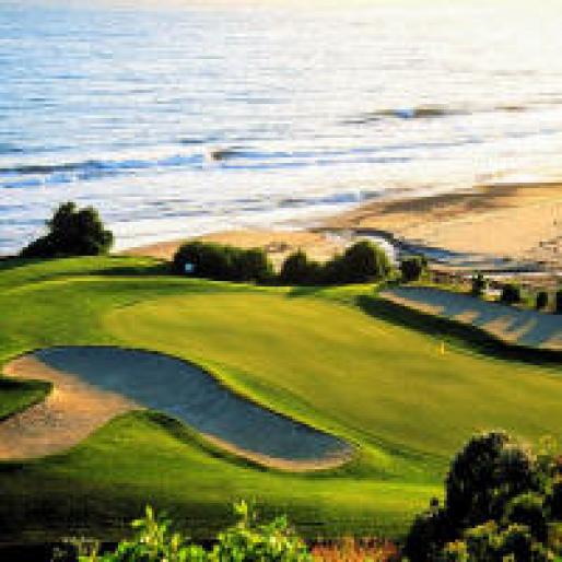 Golf001_1024768