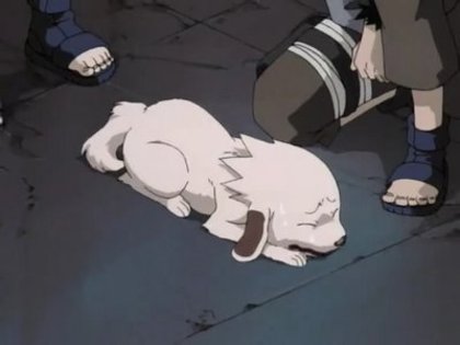 Inuzuka-Kiba-Akamaru-naruto-wallpaper