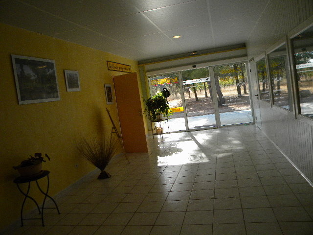 DSCN1949