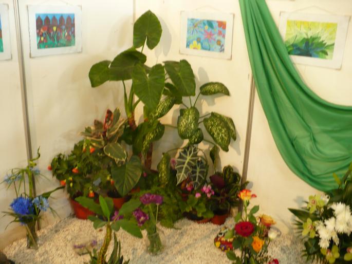 P1010460 - Pitesti 19 aprilie 2008 - II