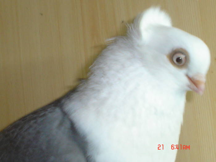 DSC02867