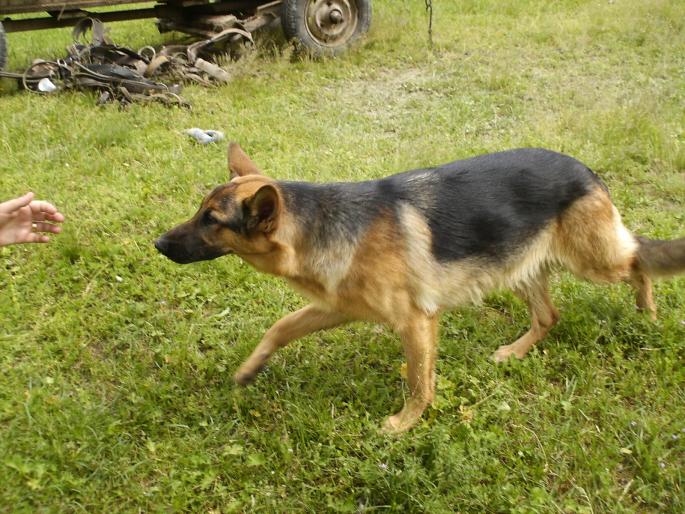 BENY ; BENY(1AN FICA LUI AYAX SI BETTY")
