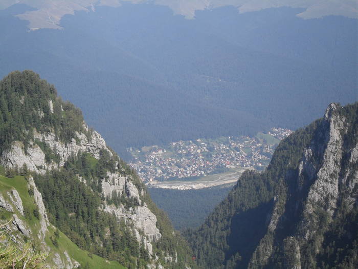 SDC10099 - Valea Caraiman-Bucegi