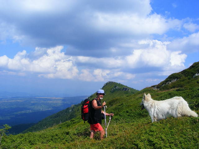 DSCF4421 - 2 august 2009 Traseu Suior Secatura Creasta Cocosului Gutaiul Doamnei  Vf Gutai
