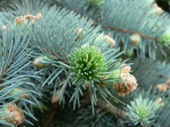 P1050118