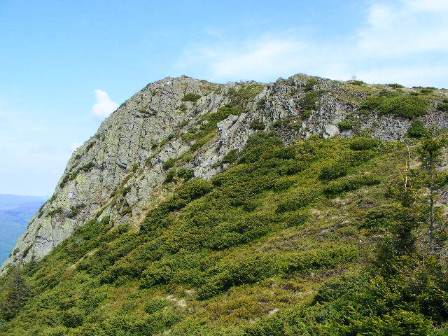 DSCF0277