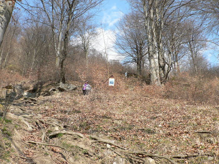 P1040356 - 2009 aprilie manastirile  cetatuia-namaesti-corbi