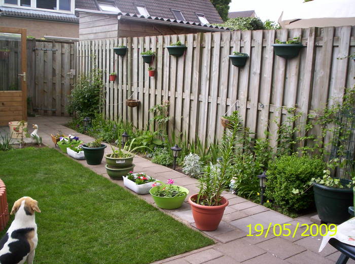 gr.s. 19 mai 20095 (10)