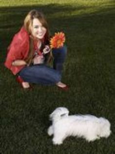  - Miley photoshoot02