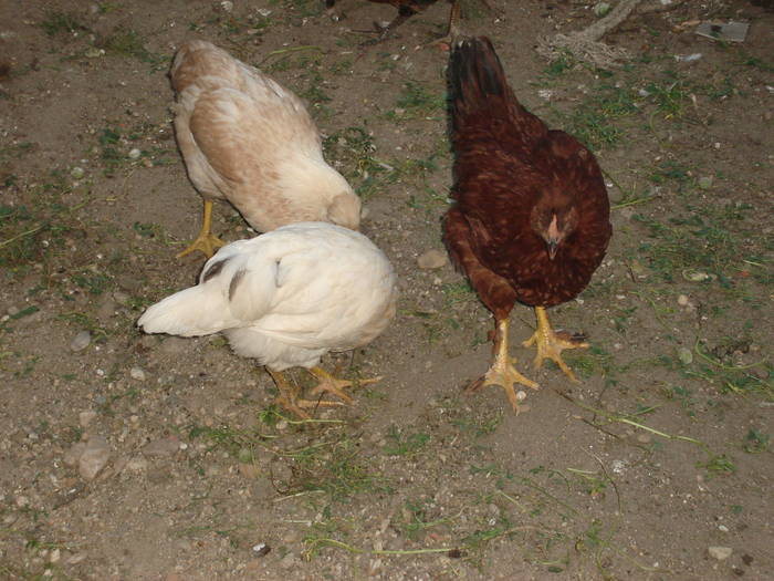 76