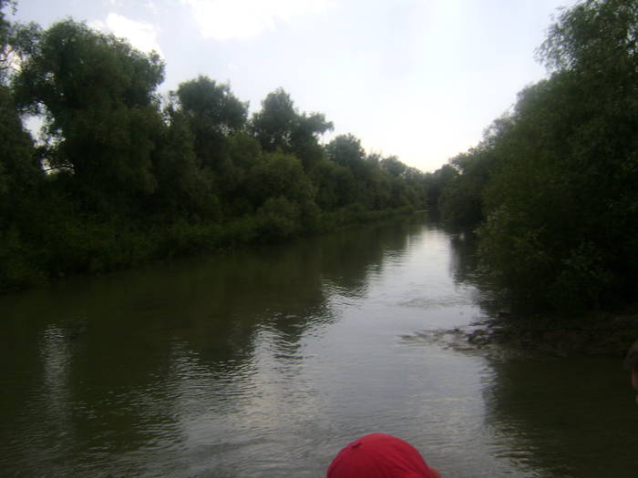 excursie delta dunarii 5062009 096 - EXCURSIE  in DELTA