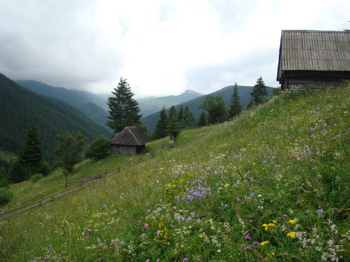 DSC03923 - Concediu 2009