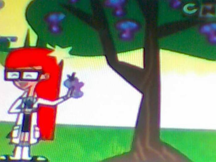 snapshot-2828 - Video Hsm Vedete