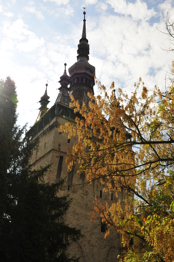 _DSC4288_498 - Sighisoara