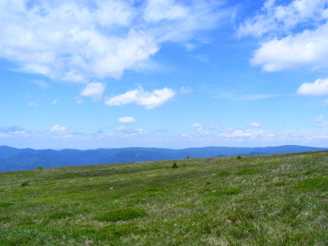 DSCF1968 - varful Ignis Maramures