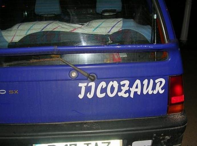 ticozaur