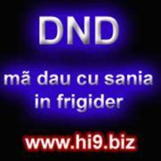 dnd ma dau cu sania in frigider