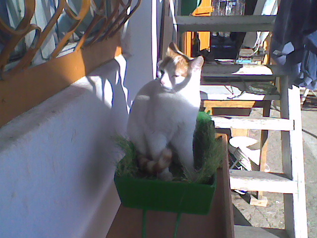 Imag001