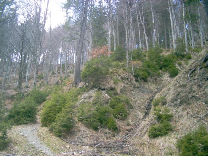 04120055 - Iezer-Papusa