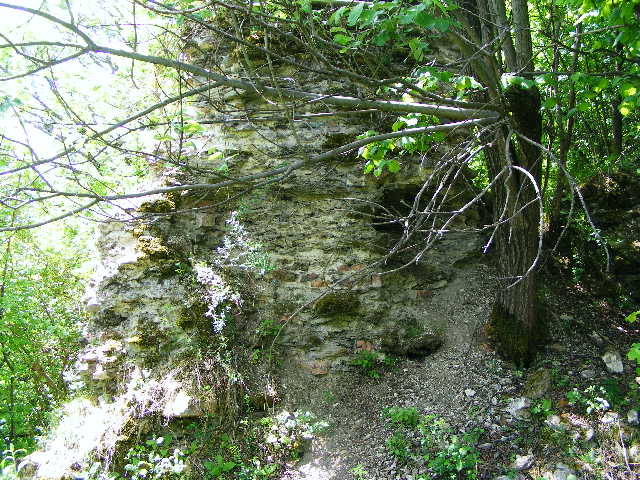 DSCF0577 - Cetatea Chioarului 13 mai 2009