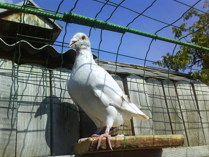 DSC01250