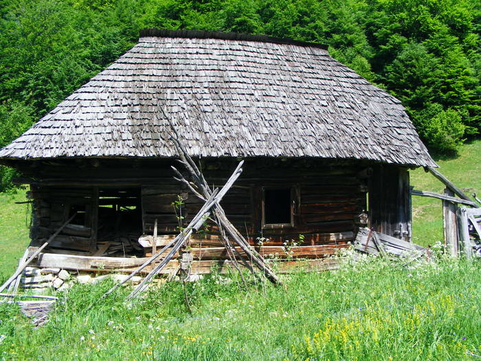 DSCF1075