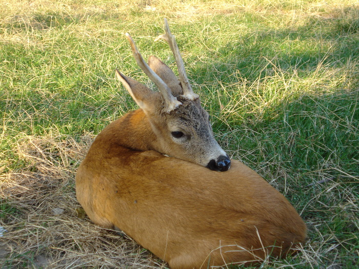 Picture 032