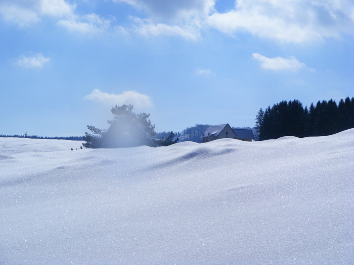 DSCF6930