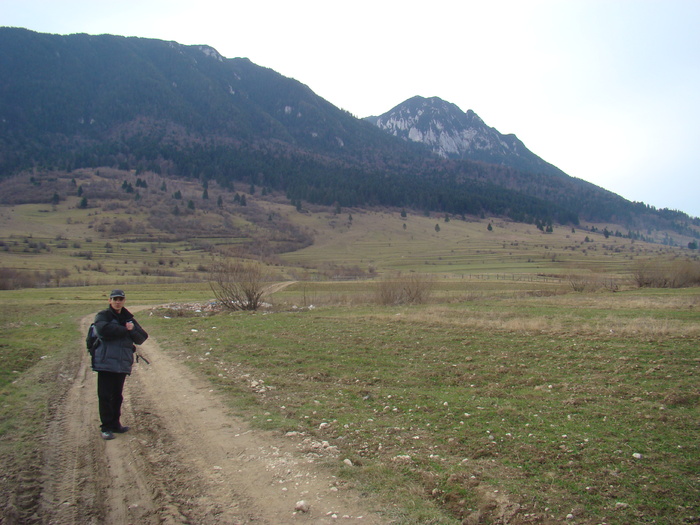 DSC04551 - Valea Crapaturii - Piatra Craiului