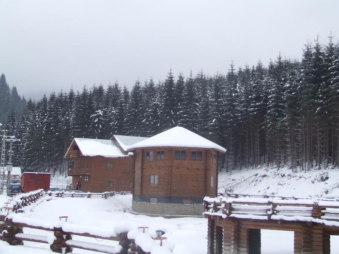 DSCF4727 - poiana zinelor