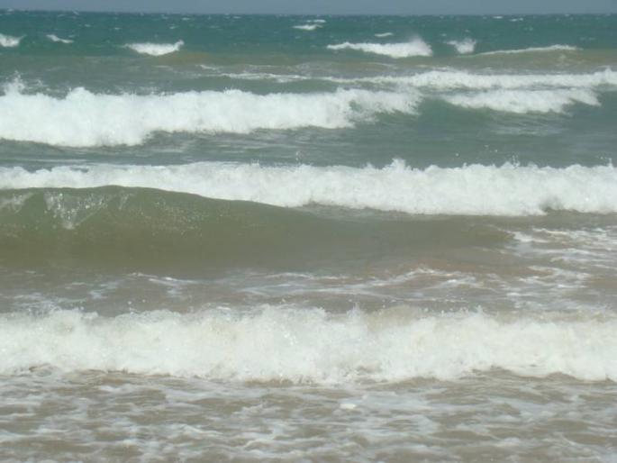 DSC05443
