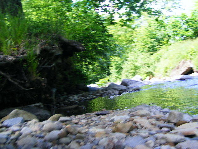 DSCF2101 - hai hui prin Maramures