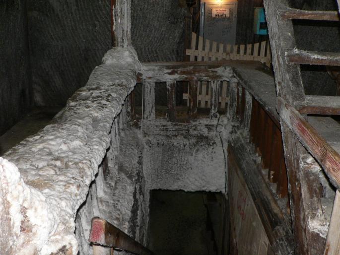 P101006