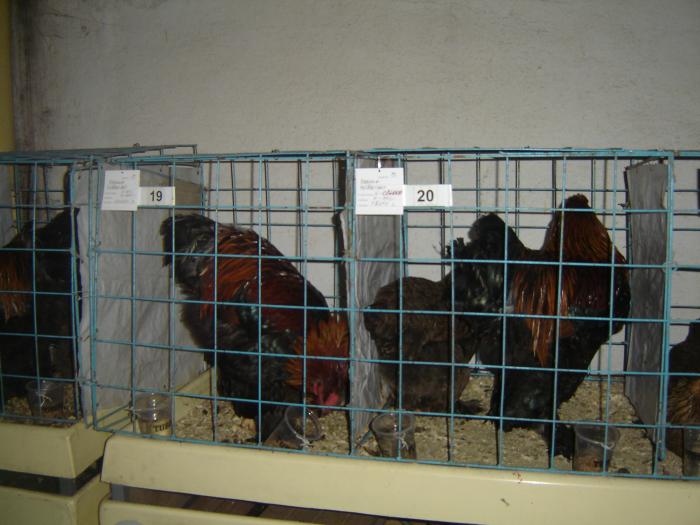 10-14 nov 2008 014