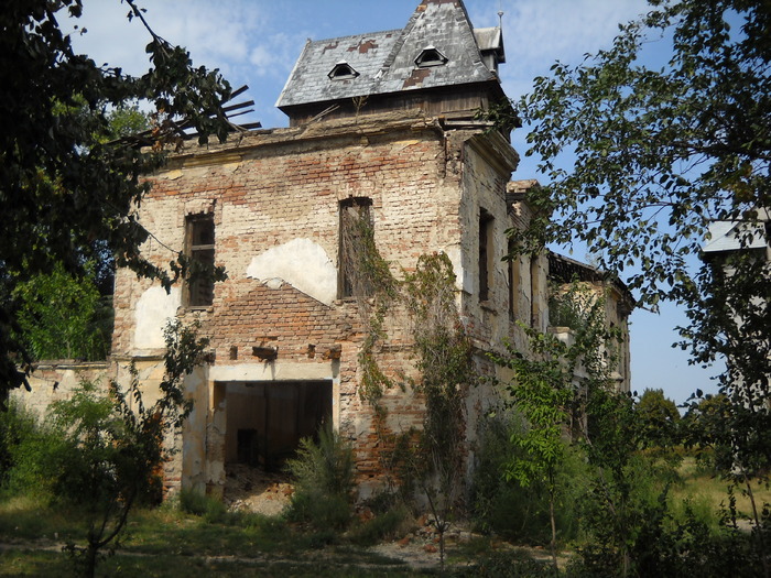 Picture 195; 4mb jpeg 1/7/2009 6:48am
