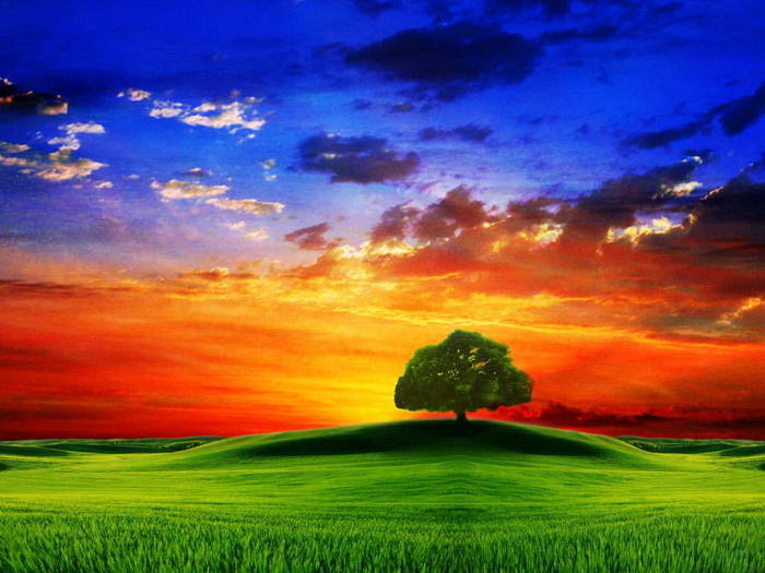 Poze 3D_ Imagini Abstracte_ 3D Wallpapers_ Windows Xp Reloaded
