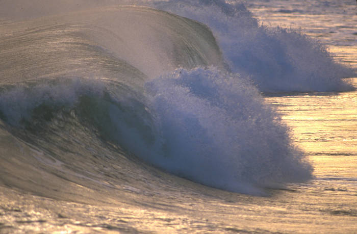 BAC025 - poze muuuuuuuuuuuuuulte