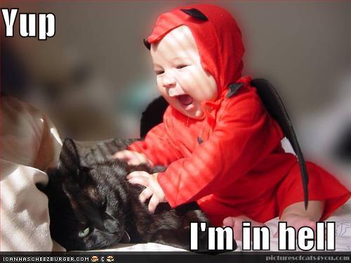 funny-pictures-black-cat-devil-baby