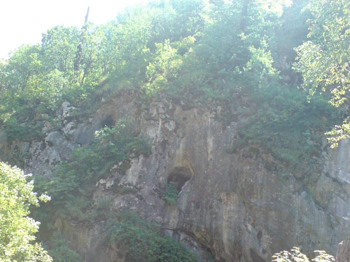 DSC01774