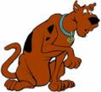 images7 - scooby doo