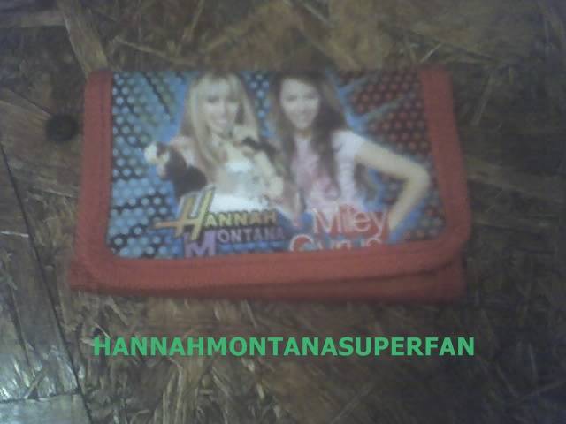 13 - lucrurirle mele hannah montana