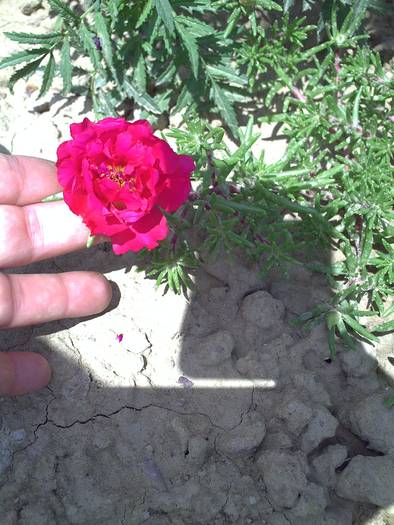 PICT0058