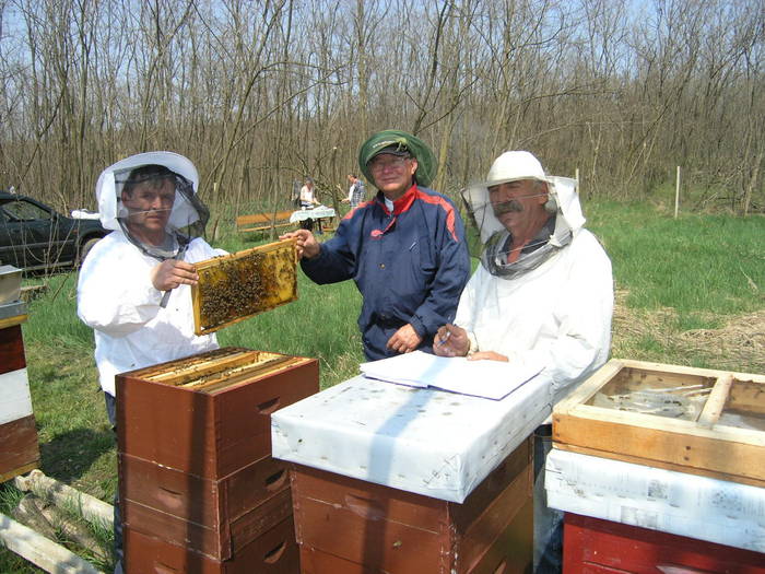 P4071964 - Carnica Banatica