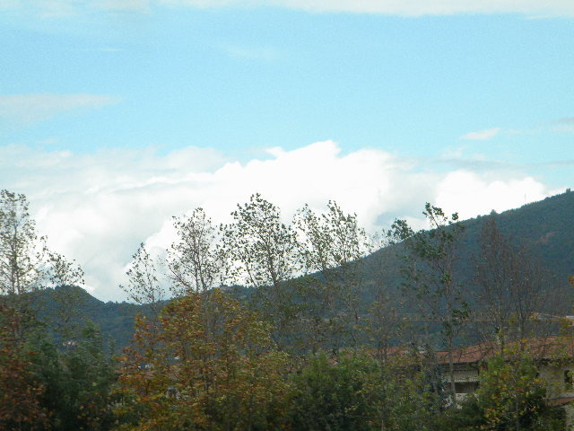DSCN0506